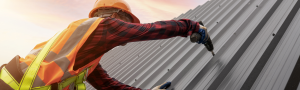 roof repair image